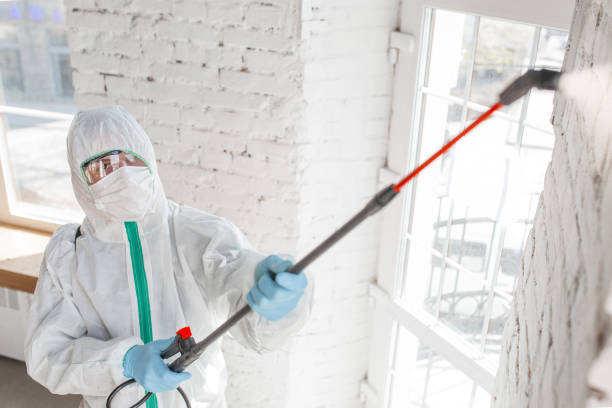 Best Post-Construction Mold Inspection  in Gibbsboro, NJ