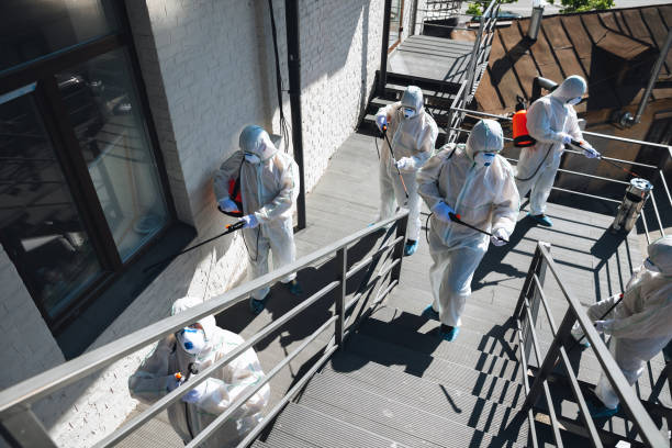 Best Forensic Mold Investigation  in Gibbsboro, NJ