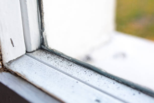 Best Mold Remediation for Healthcare Facilities  in Gibbsboro, NJ