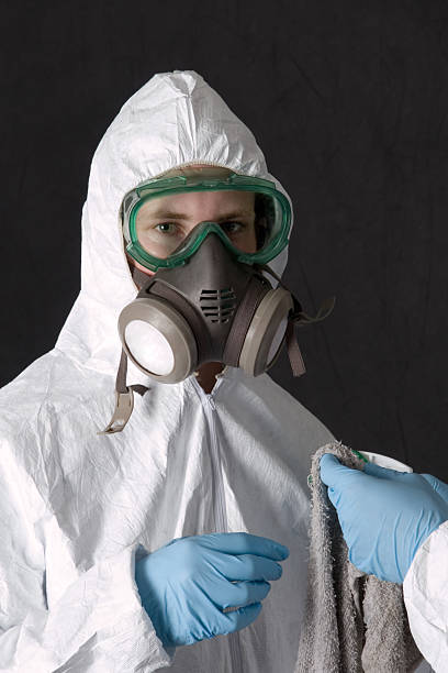 Best Black Mold Removal  in Gibbsboro, NJ